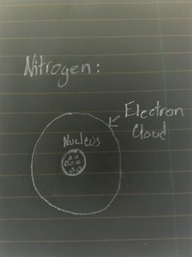 nitrogen model